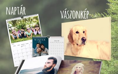 Örökzöld versenyzők