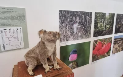 Mehetünk Ausztráliába