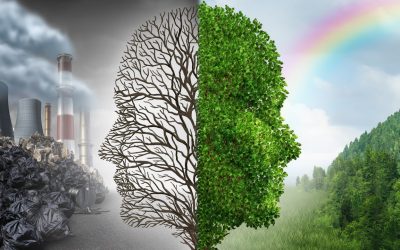 Növekszik az Öko Forradalom!