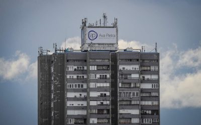 Vannak akik a magasba vágynak, mások pedig szívesebben maradnak a földhöz közel.